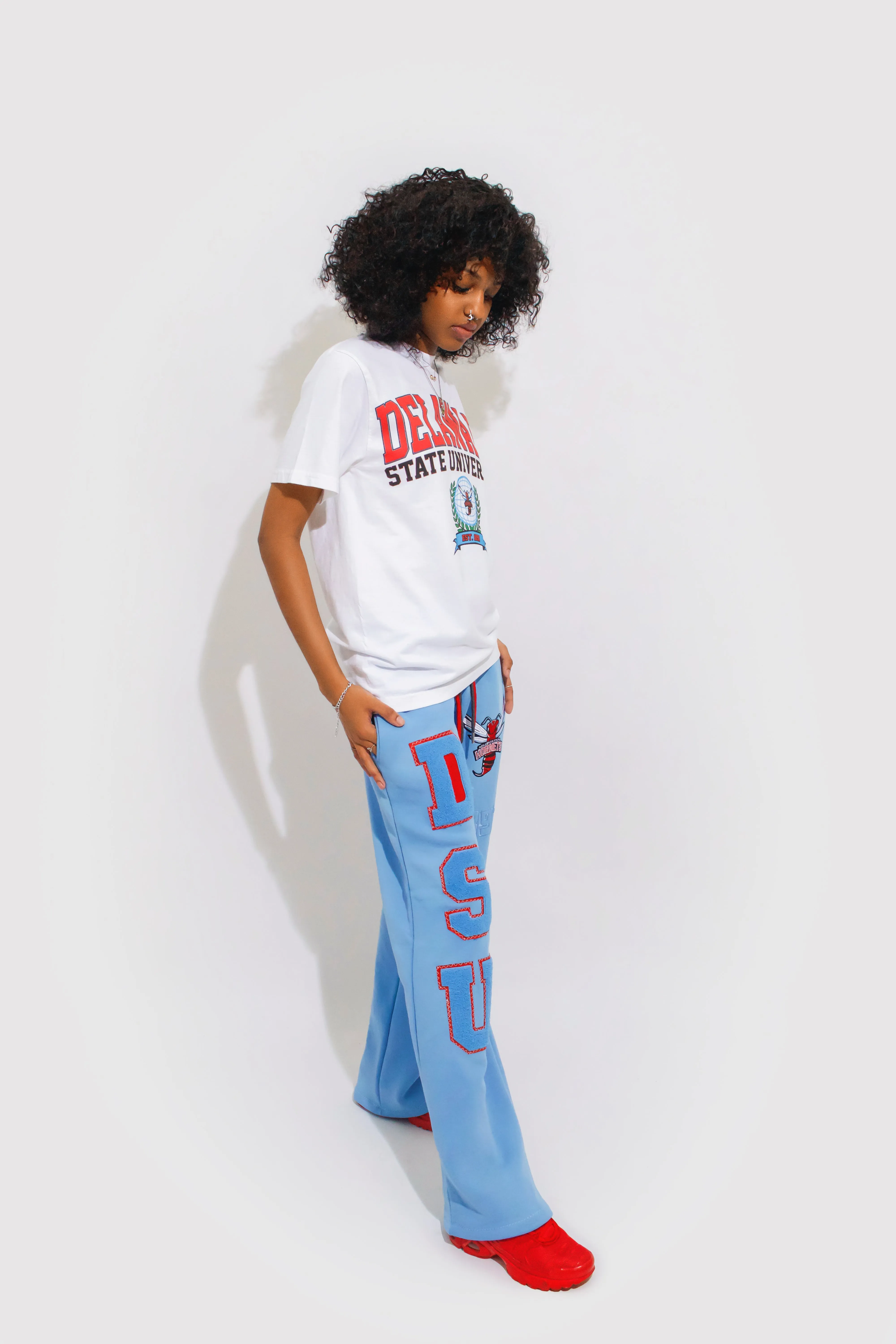 Delaware State Sweatpants