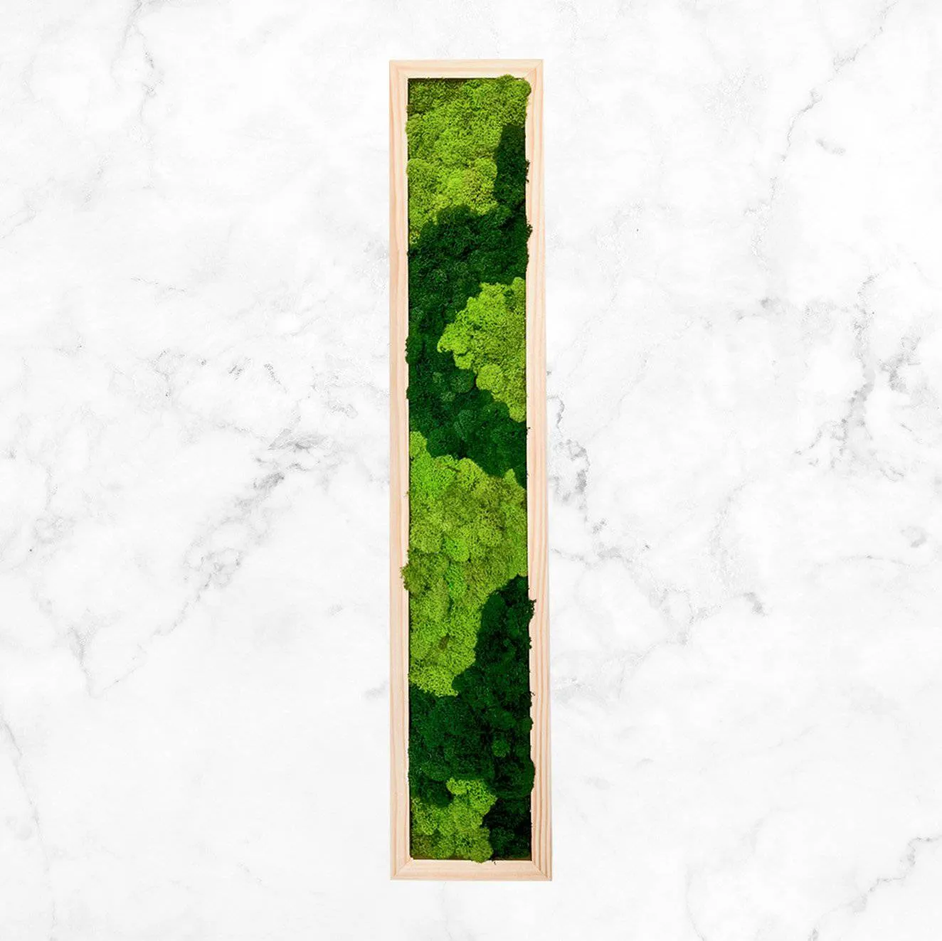 Framed Moss Wall Art Strips