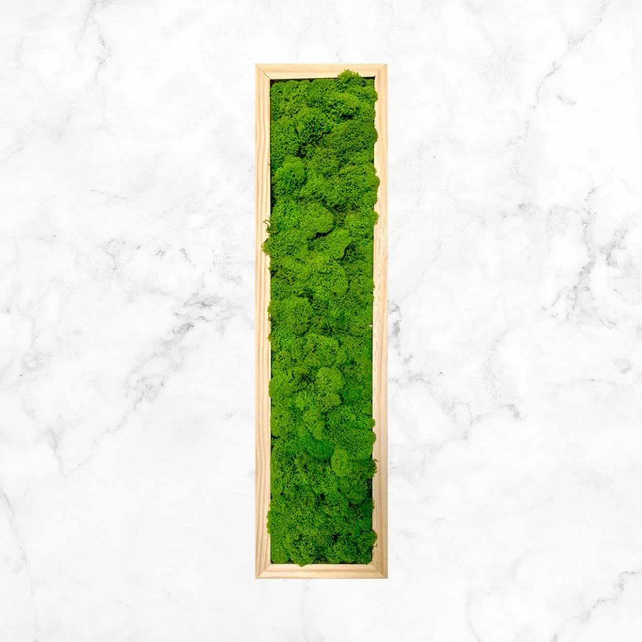 Framed Moss Wall Art Strips