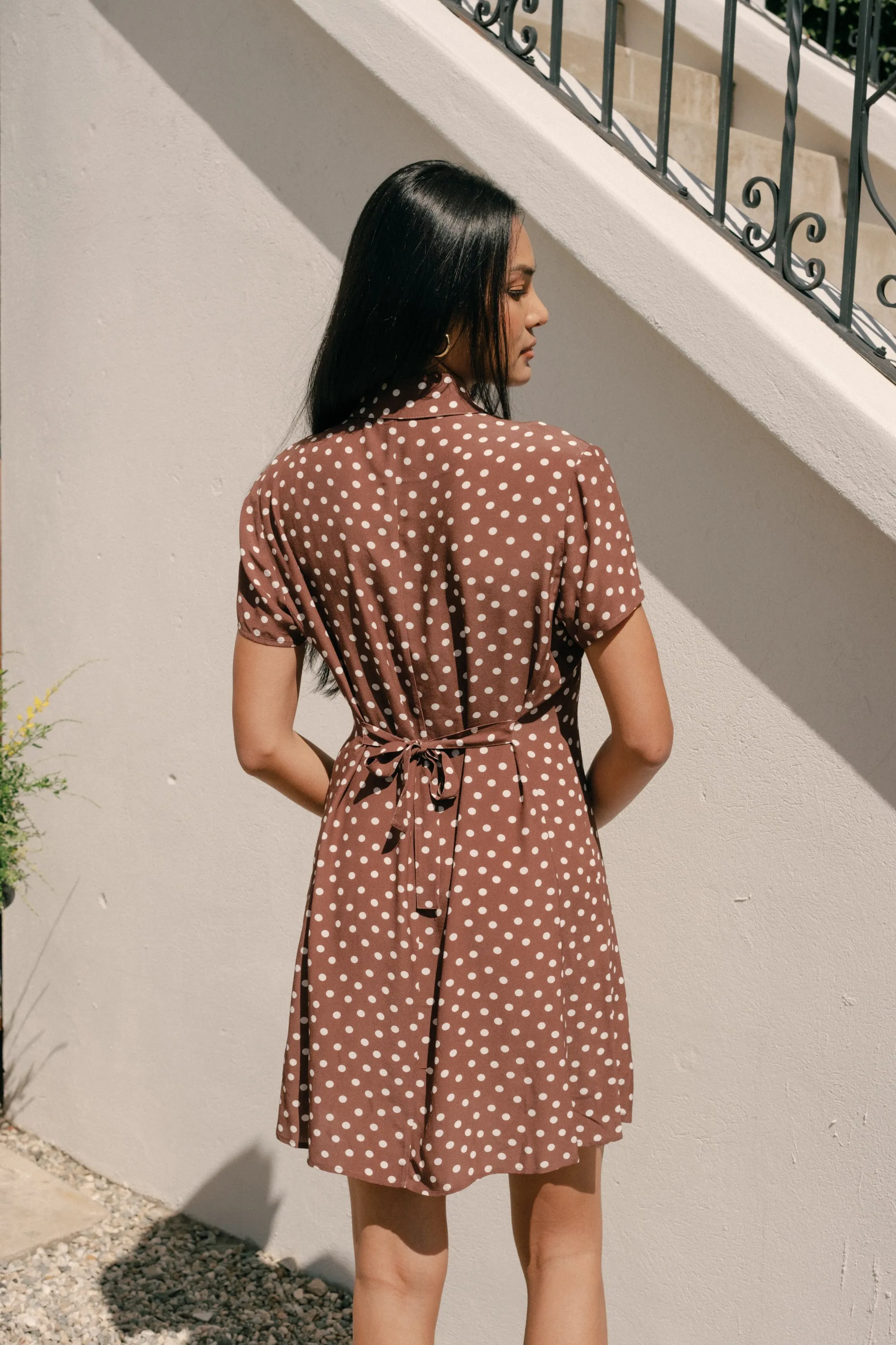 Ronnie Dress in Brown Polka Dots